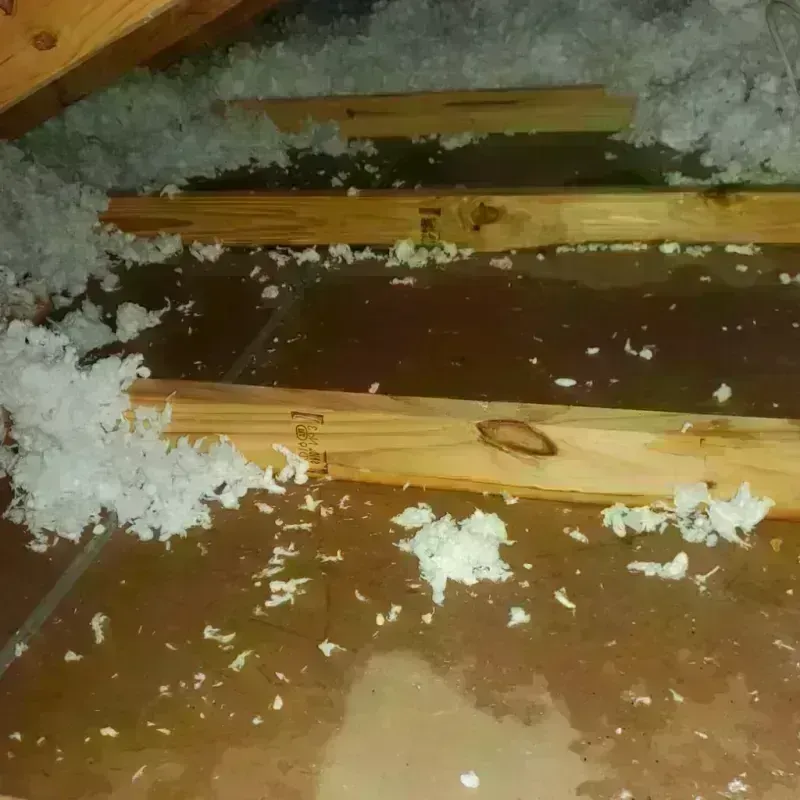 Attic Water Damage in Saint George, MO