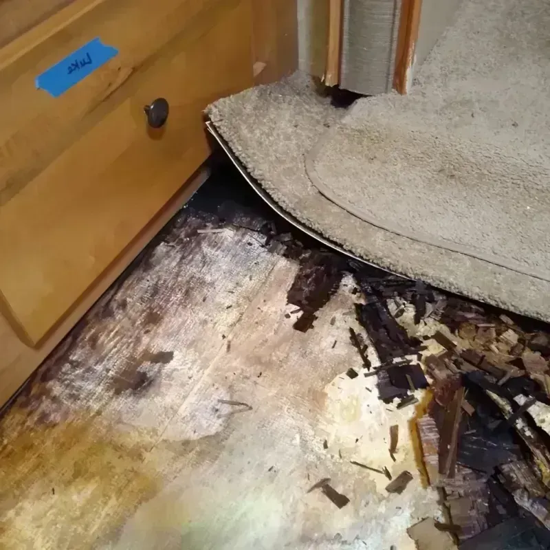 Best Wood Floor Water Damage Service in Saint George, MO